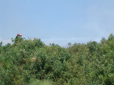 WALDBRAND > POMER > Feuerwehrleute 01