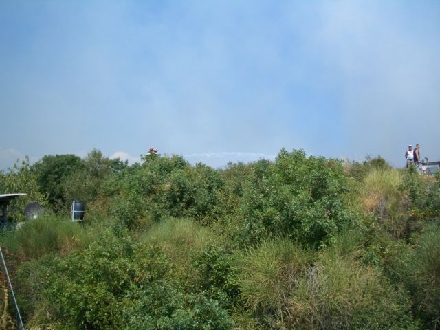 WALDBRAND > POMER > Feuerwehrleute 02