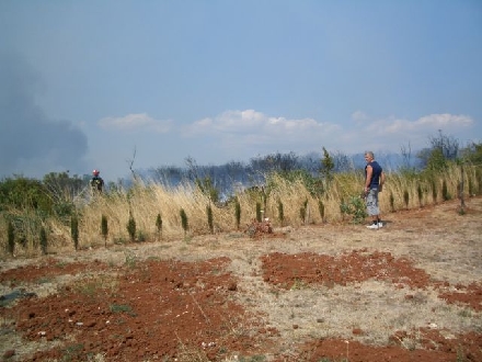 WALDBRAND > POMER > Feuerwehrleute 03