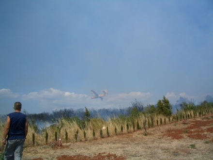 WALDBRAND > POMER > Wasserflugzeug > Flugzeug in Arbeit