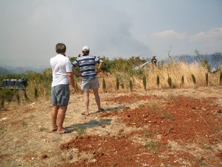 WALDBRAND > POMER > Grundstücksgrenze