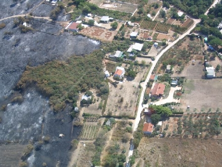 WALDBRAND > POMER > Grundstück 05