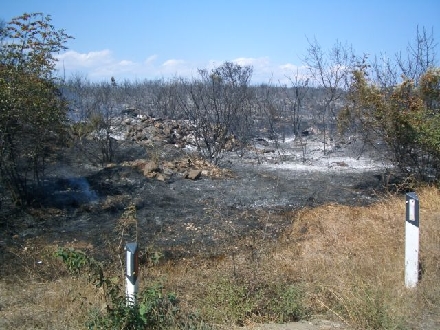 WALDBRAND > POMER > Verbrannte Erde 01