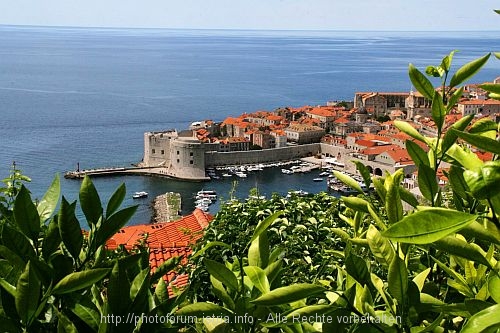 DUBROVNIK > Stari Grad