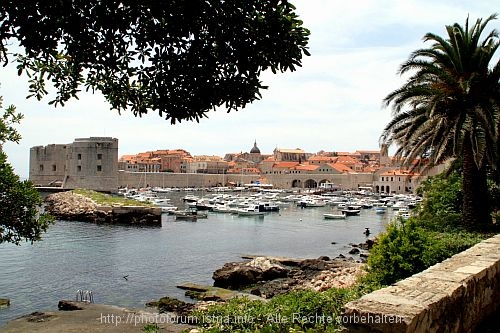 DUBROVNIK > Blick auf den alten Hafen