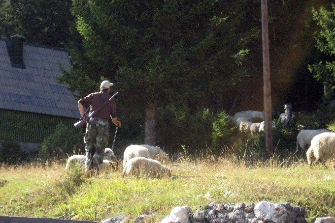 Zabljak > Im Camp Ivan Do 2