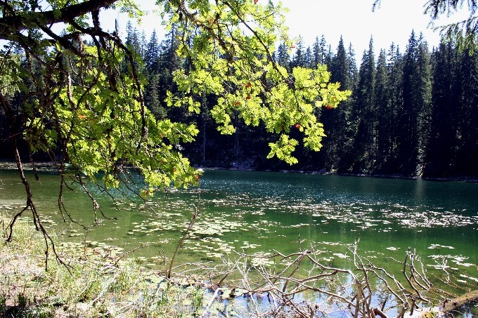 Durmitor > Weg zum Zmijinje Jezero 2