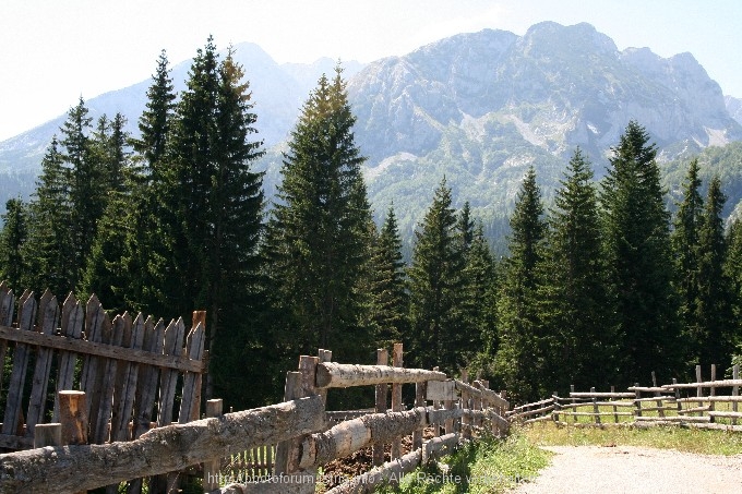 Durmitor > Weg zum Zmijinje Jezero 4