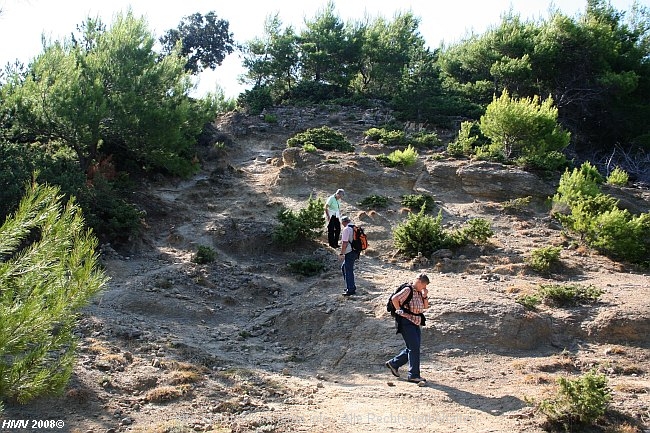 HALBINSEL LOPAR > Weg zum Strand Sahara