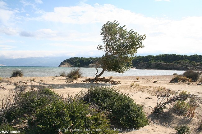 HALBINSEL LOPAR > Bucht Sahara