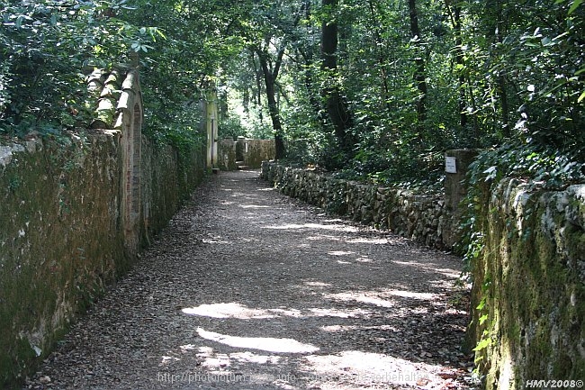 KLOSTERINSEL KOSLJUN > Weg zur Kapelle Hl Franziskus