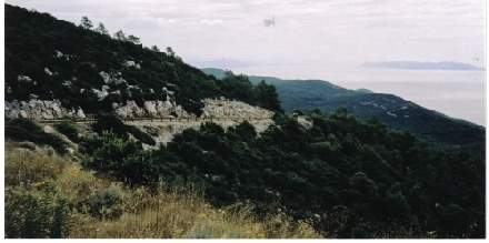 Otok KORCULA > Pupnat > Strasse zur Bucht Pupnat Luka