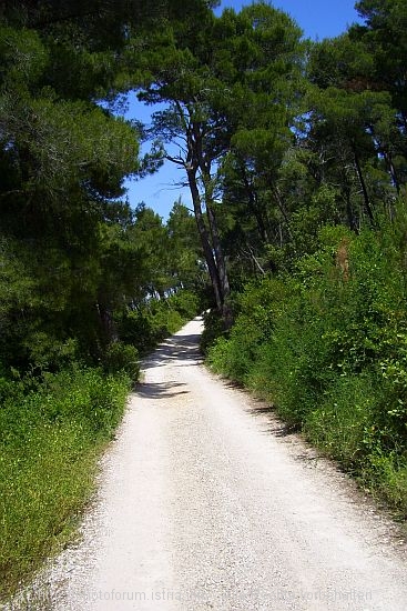 LUMBARDA > Halbinsel Raznjic > Feldweg