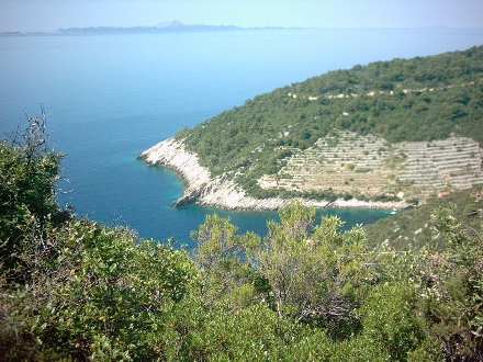 Otok KORCULA > Bacva Bucht