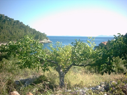 Otok KORCULA > Pupnat > Aussicht von oben