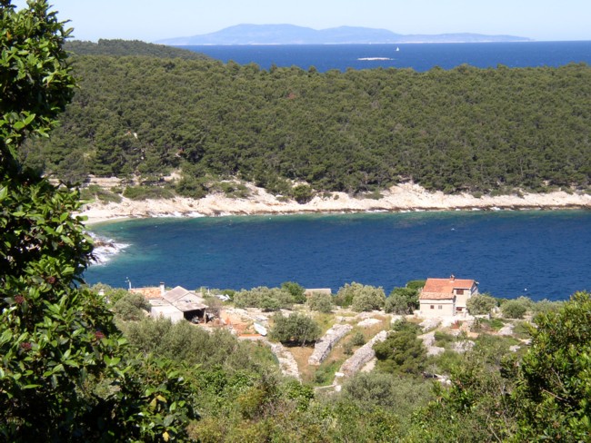 Otok KORCULA > Bucht Tankarica und Blick auf Vis