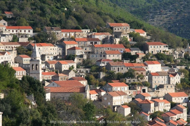 SMOKVICA auf Korcula