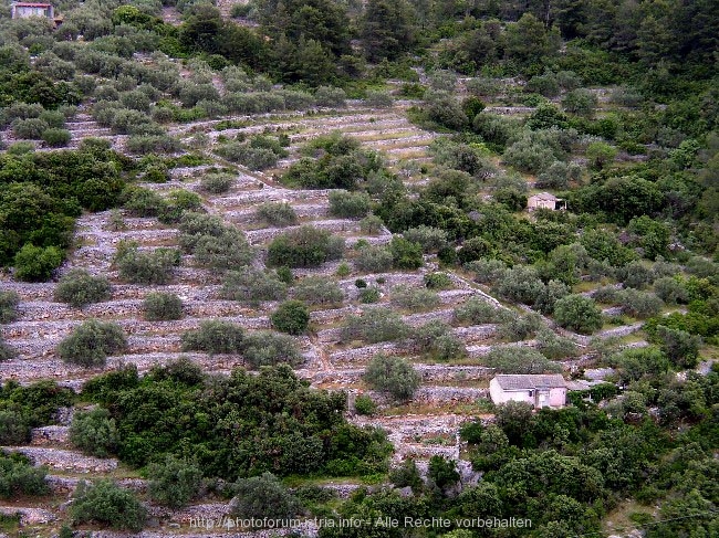 OTOK KORCULA > Terrassen