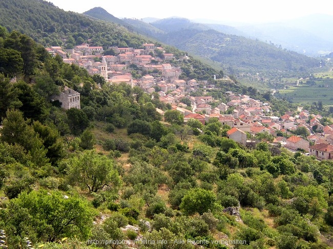 SMOKVICA auf Korcula