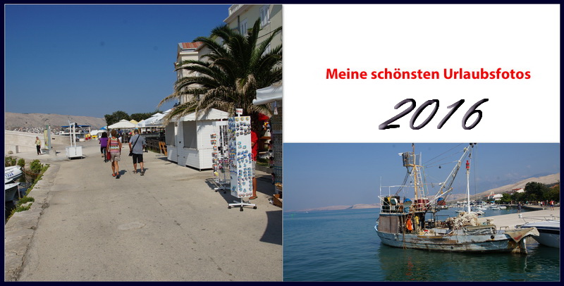 Fotowettbewerb-januar-1.jpg