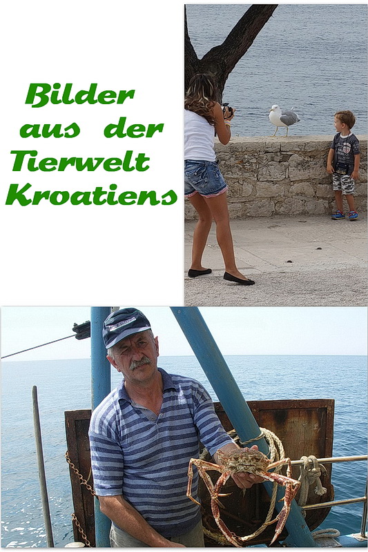 Juni-Titel-final.jpg