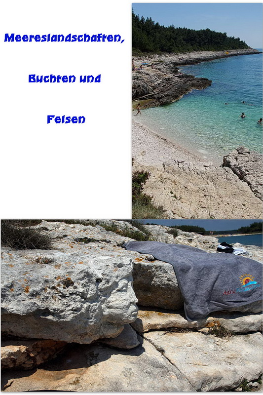 Mai-Titel-final-1.jpg