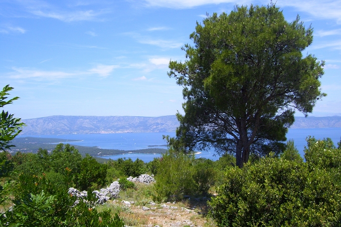 OTOK HVAR > Wanderung nach Humac > Rastplatz unter Pinie