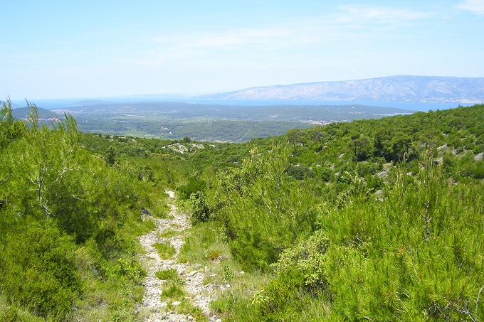 OTOK HVAR > Wanderung nach Humac > Blick auf die Ebene von Stari Grad