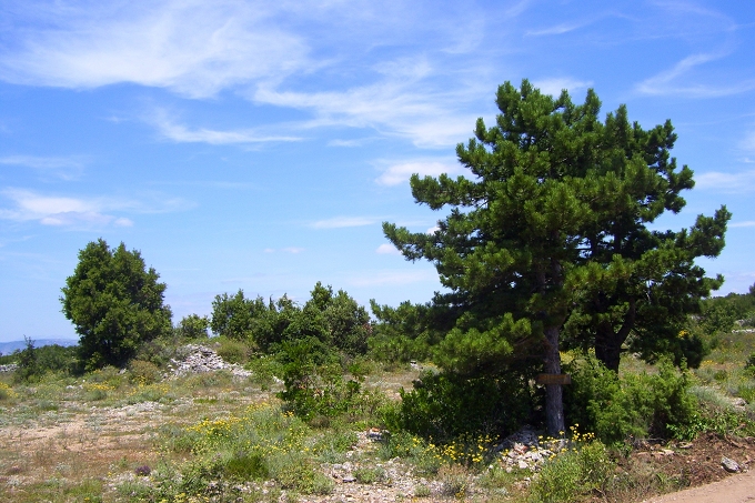 OTOK HVAR > Wanderung nach Humac > Kreuzung Wanderweg mit Piste am Inselrücken