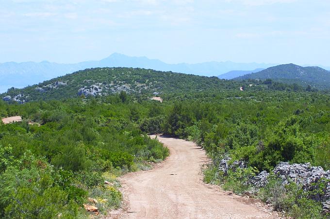 OTOK HVAR > Wanderung nach Humac > Piste am Inselrücken