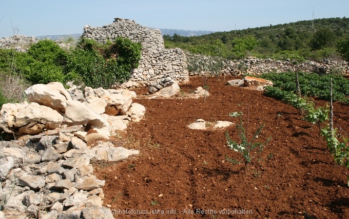 VELO POLJE > UNESCO Welterbe 2