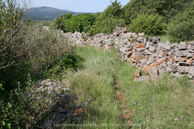 VELO POLJE > UNESCO Welterbe 8