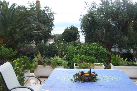 Otok HVAR > Sucuraj - Garten am 1. Advent