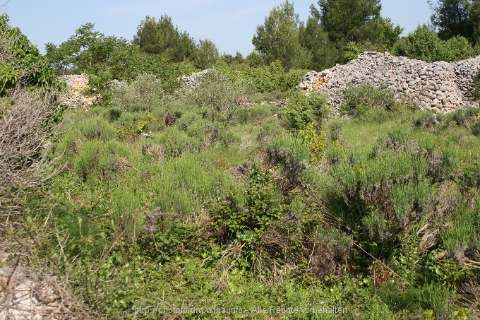 VELO POLJE > UNESCO Welterbe 9