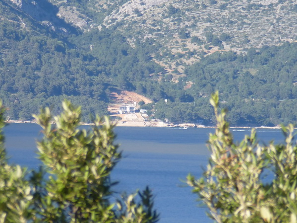 P1050150_Bildgre_ndern.jpg