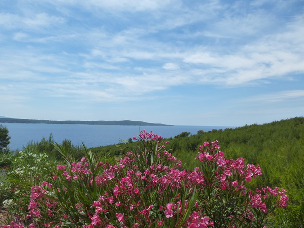 Hvar>Ostküste