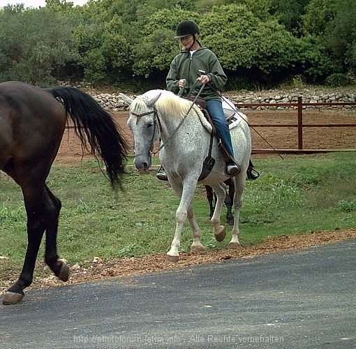 Konavle: POPOVICI > Reitausritt