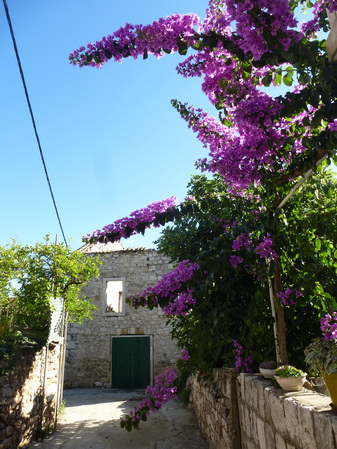 Hvar>Sucuraj