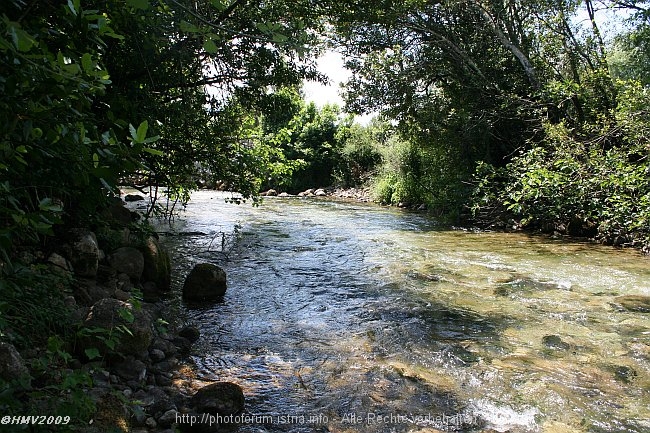 FLUSS LJUTA