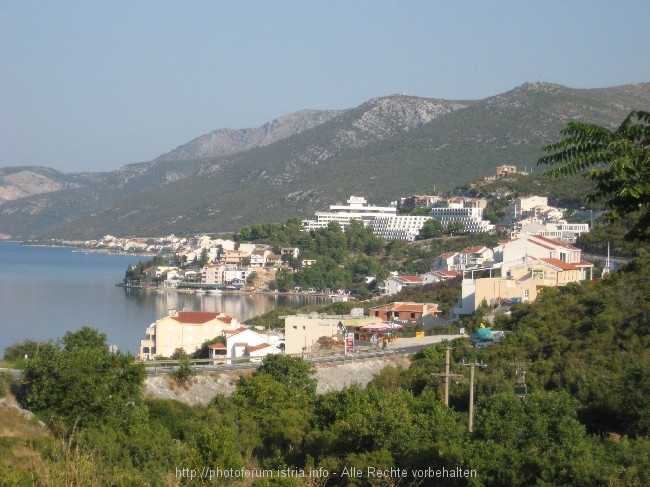 NEUM