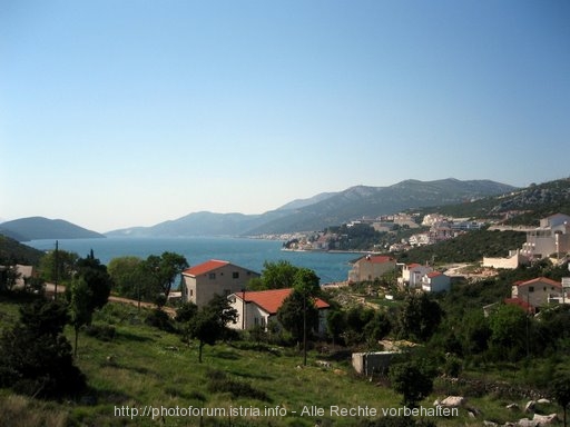 NEUM