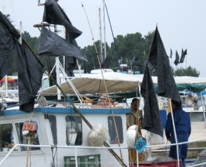 POREC > Herbstimpressionen > Strand/Hafen