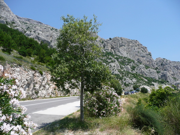 MAKARSKA RIVIERA