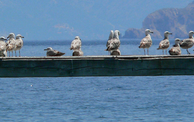 BASKA > Strandnähe