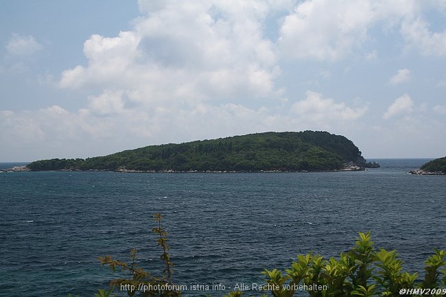 MOLUNAT > Otok Veliki Skolj in der Bucht Gornji Molunat