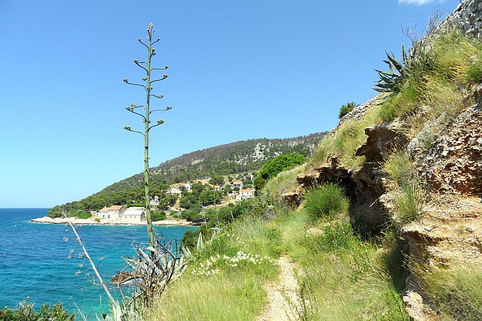 Wanderung nach Blaca 18 > Wanderweg bei Farska