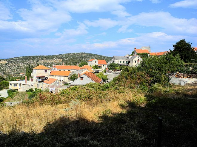 OTOK BRAC > Nerezisca