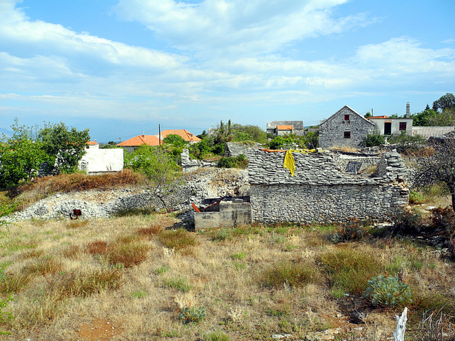 OTOK BRAC > Skrip