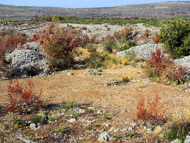 OTOK BRAC > verbrannte Vegetation