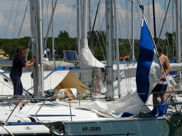 P1050393.jpg